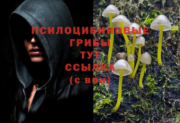 героин Белокуриха