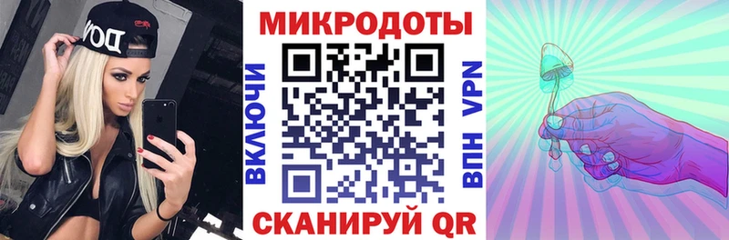 дарк нет официальный сайт  Новотитаровская  Псилоцибиновые грибы мицелий 