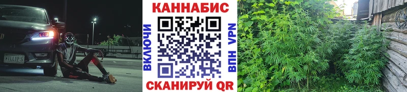 Бошки марихуана индика  купить наркоту  Новотитаровская 